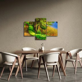 Tablou - poteci pe malul apei (90x60 cm)