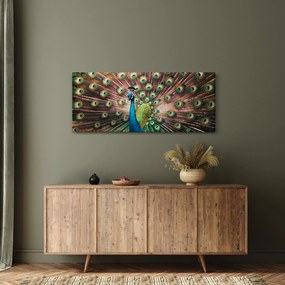 Tablou - Păun (120x50 cm)