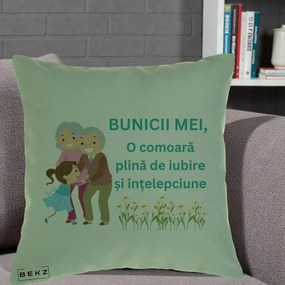 Cadou pentru Bunici - Perna Personalizata Bunicii Mei Comoara Iubire Intelepciune Nepoata, 40x40 cm, Verde, Husa Detasabila, Perna Inclusa, BEKZ®