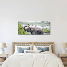 Tablou - Elefant de scăldat (120x50 cm)