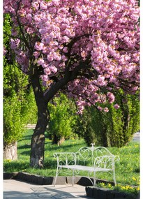 Banca de gradina, alba, ETELIA