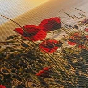 Tablou cu apus de soare cu flori de maci (cu ceas) (90x30 cm)