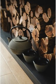 Ceainic gri din fontă 1,1 l Jang – Bredemeijer