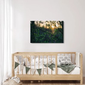 Tablou - Soarele strălucind printre crengile copacilor (90x60 cm)