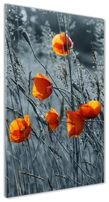 Imagine de sticlă wildflowers maci