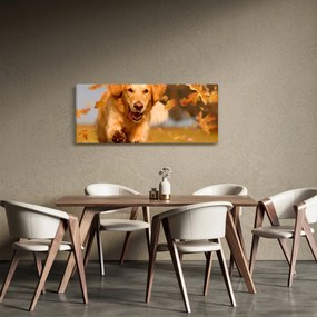 Tablou - Golden Retriever (120x50 cm)