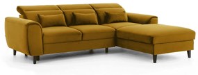 Coltar extensibil Foble pe dreapta Loco 45