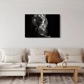 Tablou - Leu (90x60 cm)