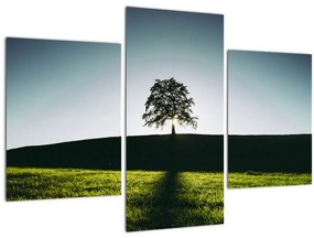 Tablou cu natura - copac (90x60 cm)