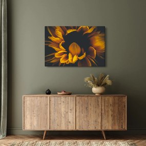 Tablou - Floarea-soarelui în fundal negru (90x60 cm)
