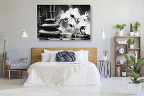Tablou spa natura moartă în design alb-negru