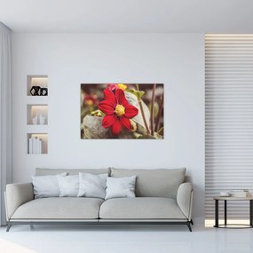 Tablou cu floare (90x60 cm)