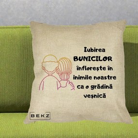 Cadou pentru Bunici - Perna Personalizata Iubirea Bunicilor Infloreste Cuplu Line Art Gradient, 40x40 cm, Crem, Husa Detasabila, Perna Inclusa, BEKZ®