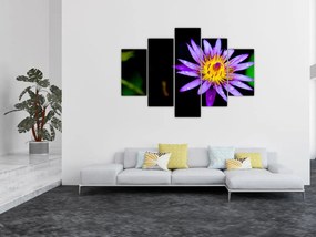 Tablou cu floare (150x105 cm)