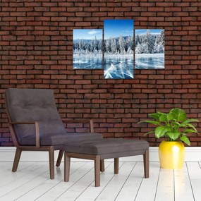 Tablou cu lacul înghețat și copacii înzăpeziți (90x60 cm)