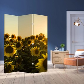 Paravan - Lan de floarea soarelui (126x170 cm)