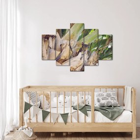 Tablou cu veverița în copaci (150x105 cm)