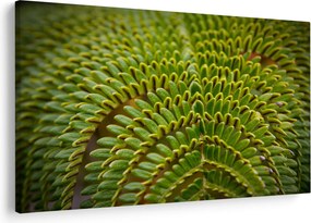 Tablou - Fern (90x60 cm)