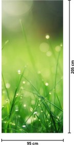 Fototapet pentru ușă - Rouă pe iarbă (95x205cm)
