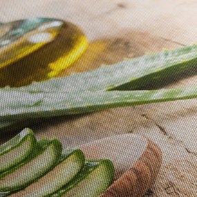 Tablou - Aloe vera (90x60 cm)