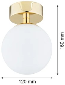 Argon 4004 - Lumină plafon baie FLAVIO 1xE14/7W/230V IP44