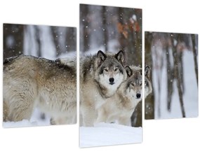 Tablou - Lupii în timpul iernii (90x60 cm)