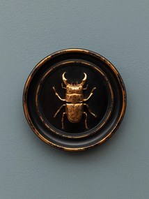 Decoratiune de perete din rasina, aspect vintage, Beetle