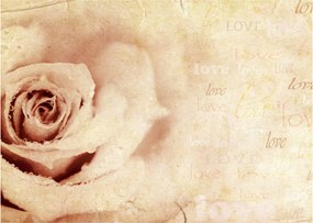 Tablou - floare de trandafir pentru îndrăgostiți (70x50 cm)