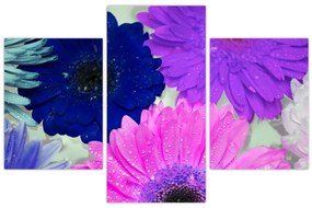 Tablou cu flori colorate (90x60 cm)