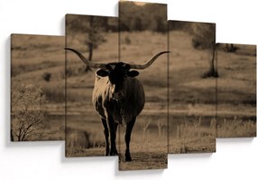 Tablou - Vacă din Texas (150x105 cm)
