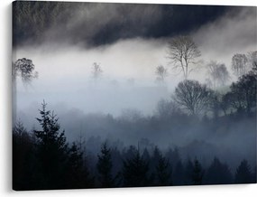 Tablou cu ceță deasupra pădurii (70x50 cm)
