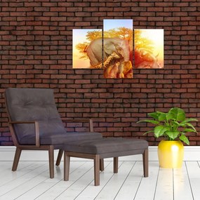 Tablou - Animale africane (90x60 cm)