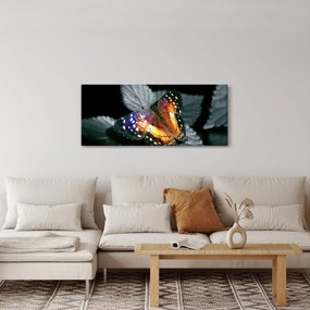 Tablou cu fluture (120x50 cm)