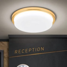 Plafoniera LED moderna LEROX 30cm aurie 24K
