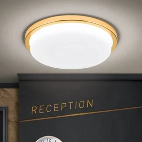 Plafoniera LED moderna LEROX 30cm aurie 24K
