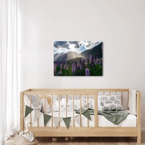 Tablou - scenariu cu flori de Lupin (70x50 cm)