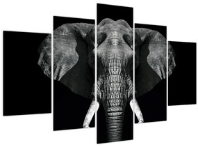 Tablou - Elefant pe fundal negru (150x105 cm)