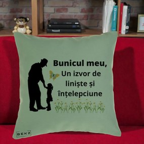 Cadou pentru Bunic - Perna Personalizata Bunicul Meu Izvor de Liniste cu Fluture si Fetita, 40x40 cm, Verde, Husa Detasabila, Perna Inclusa, BEKZ®