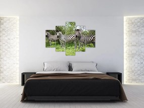 Tablou cu zebre (150x105 cm)