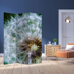 Paravan - păpădie desflorită (126x170 cm)