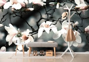 Fototapet trezirea magnoliei