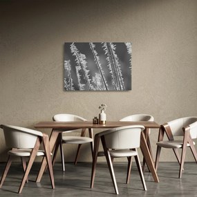 Tablou pe sticlă - Frig de îngheț (70x50 cm)