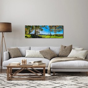 Tablou Privire la câmp (cu ceas) (90x30 cm)