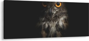 Tablou cu bufnița (120x50 cm)