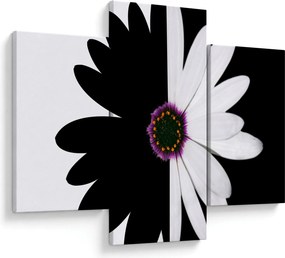 Tablou - Floare, alb- negru (90x60 cm)