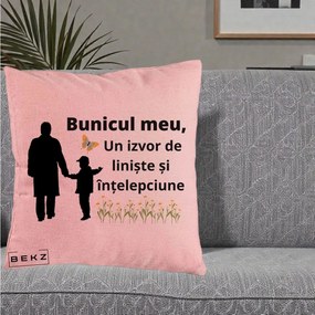 Cadou pentru Bunic - Perna Personalizata Bunicul Meu Izvor de Liniste cu Fluture si Baietel, 40x40 cm, Roz, Husa Detasabila, Perna Inclusa, BEKZ®