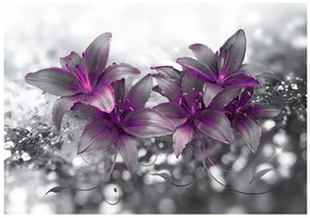 Fototapet - Secret of the Lily