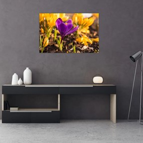 Tablou cu floare violetă (90x60 cm)