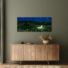 Tablou - Cer căzător (120x50 cm)