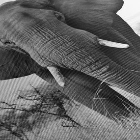 Tablou - Elefantul african II. (90x60 cm)